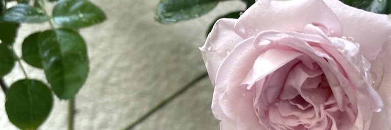 蒼月美桜🥀魔界闘場東2そ43ab banner
