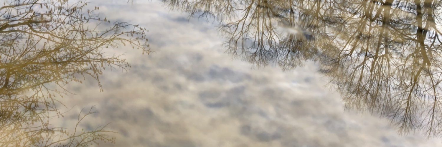 Alex_Holt4's profile banner image
