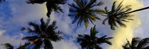 rebe_gy's profile banner image