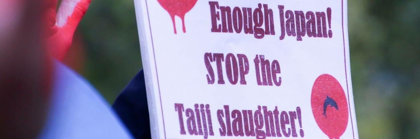 Barbara Chaitoff #Pigoneer #VeganNotJustPB🌻 banner