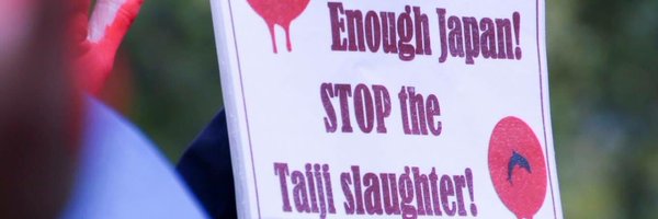 Beeej1 Profile Banner