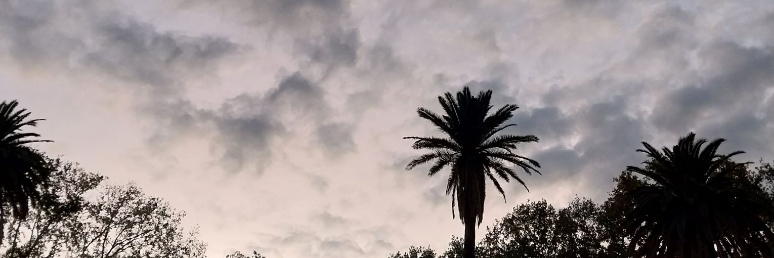 correadeel's profile banner image