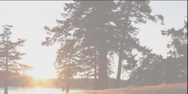 BeautyQueenLCRP's profile banner image
