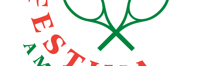 LTCFestina's profile banner image