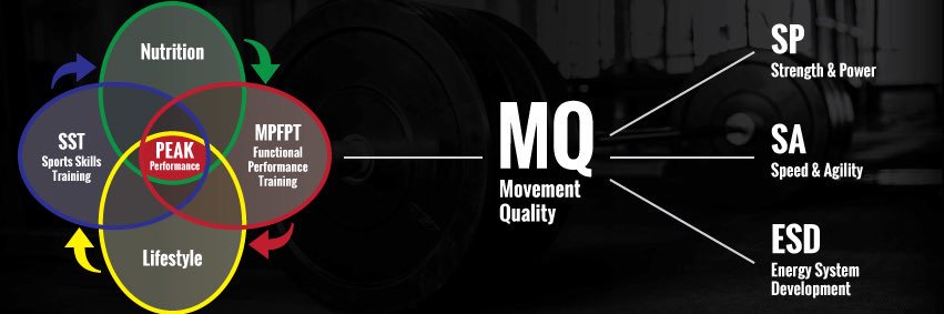 Morrill Performance banner