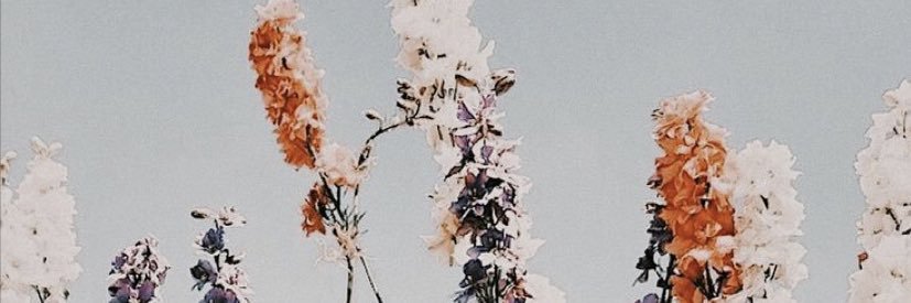 kelseybyrddd's profile banner image