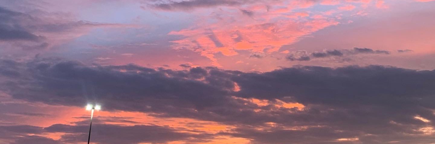 Madison Brown banner