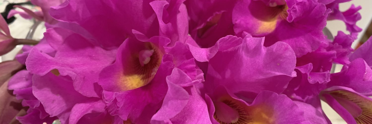 mtguest's profile banner image
