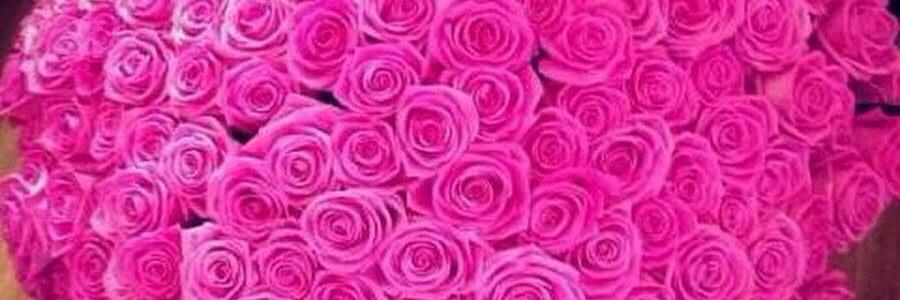 PamelaGroberman's profile banner image