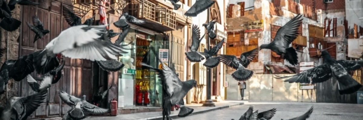 faleh262's profile banner image