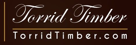 The Torrid Angel banner