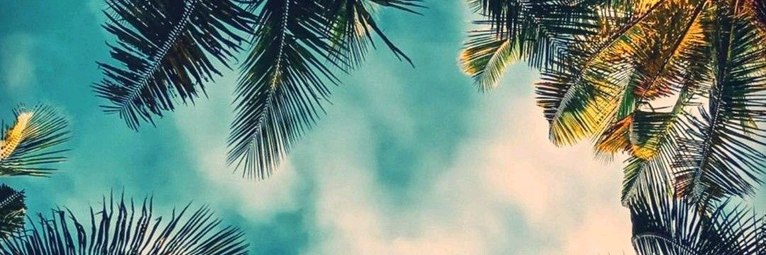 lcuevas09's profile banner image