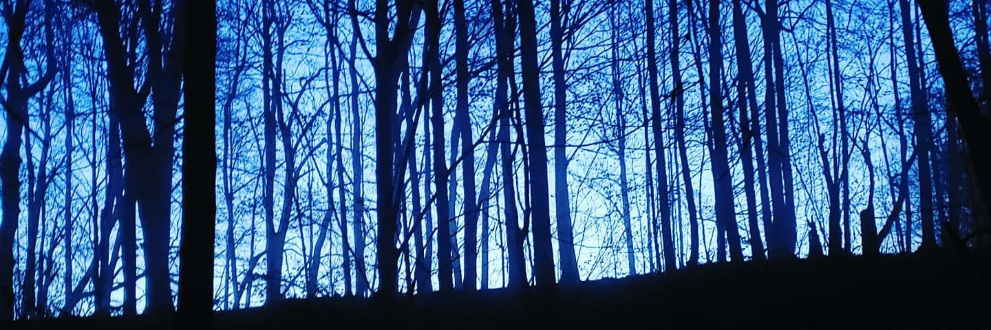 mullins7979's profile banner image
