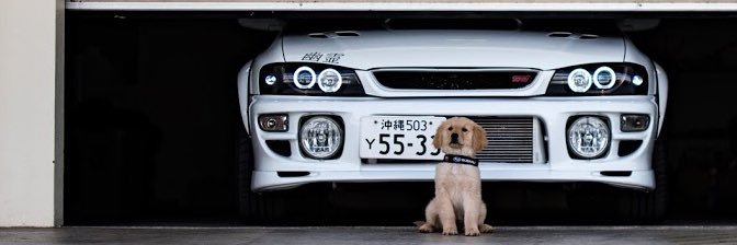 trizzzzy_'s profile banner image