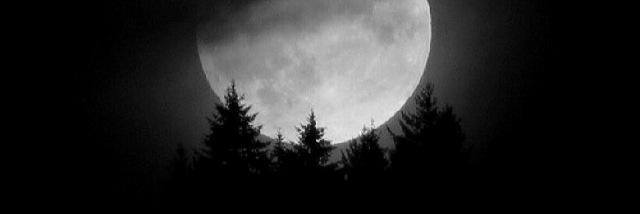 mosessantgdr's profile banner image