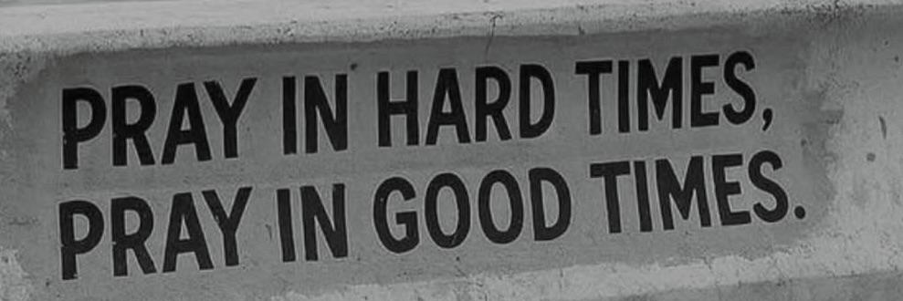 BIFEL 💫💫💫 banner