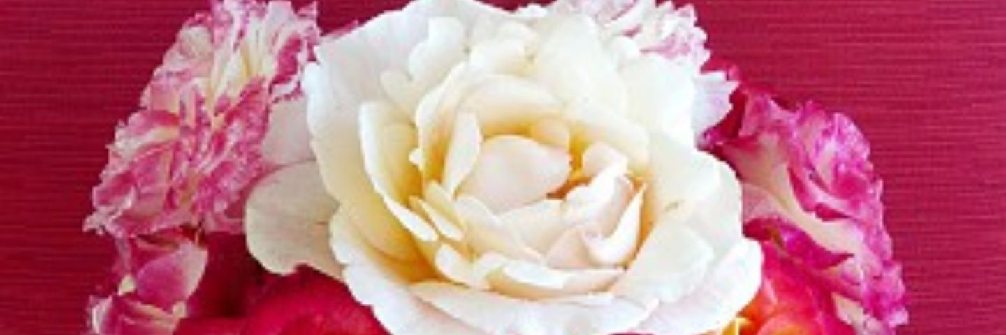 dvsdonnav's profile banner image