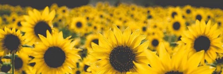 _lauracmartinez's profile banner image