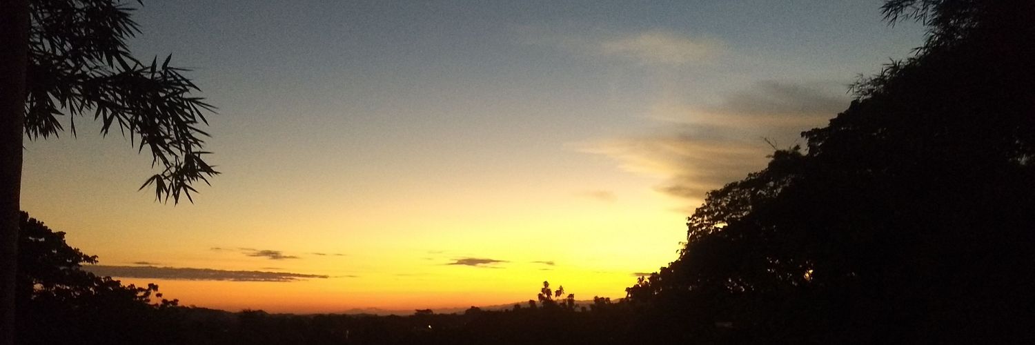 moonfairy1101's profile banner image