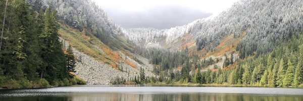 ncurt22 Profile Banner