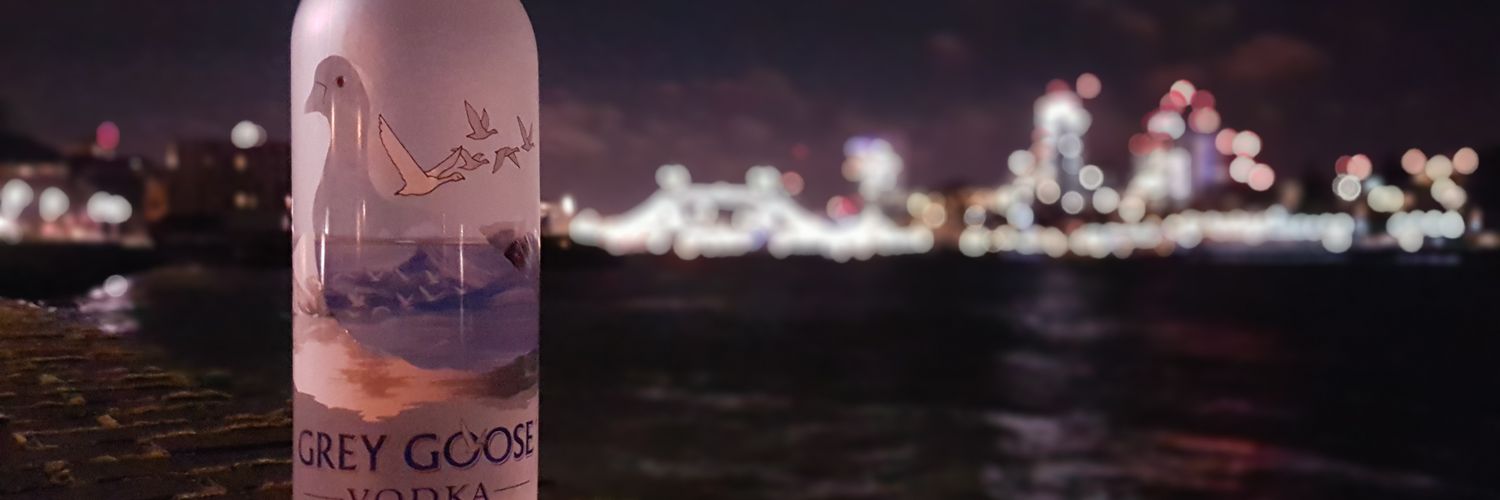 s2dah banner