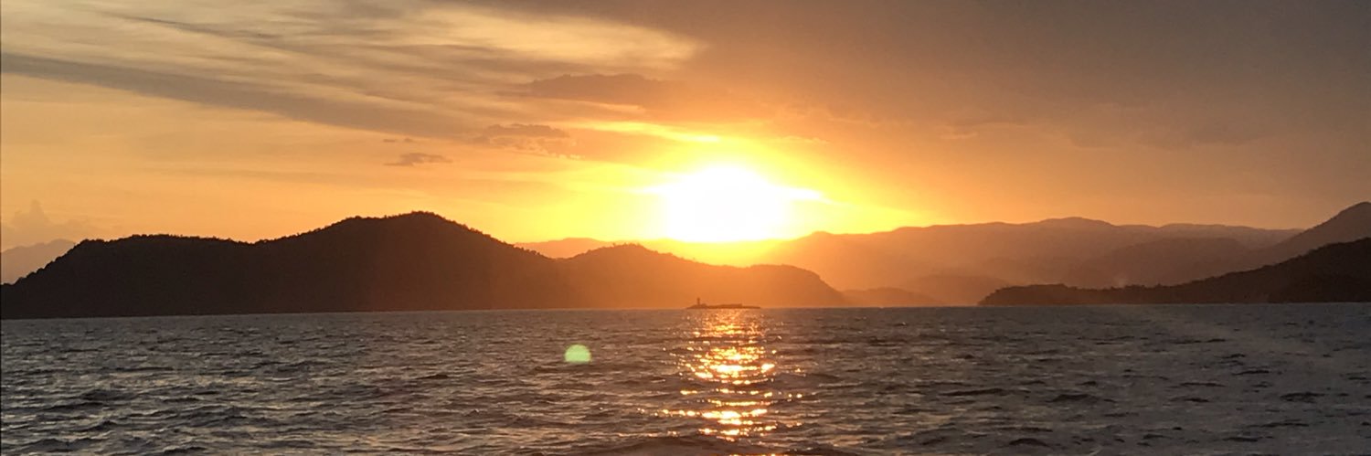 candemoya's profile banner image