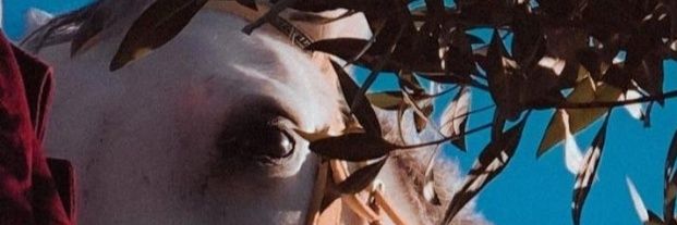 good11120's profile banner image