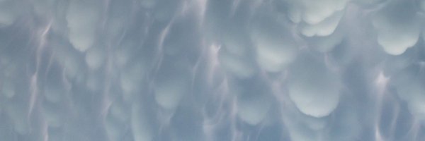 kristy_sharkey Profile Banner