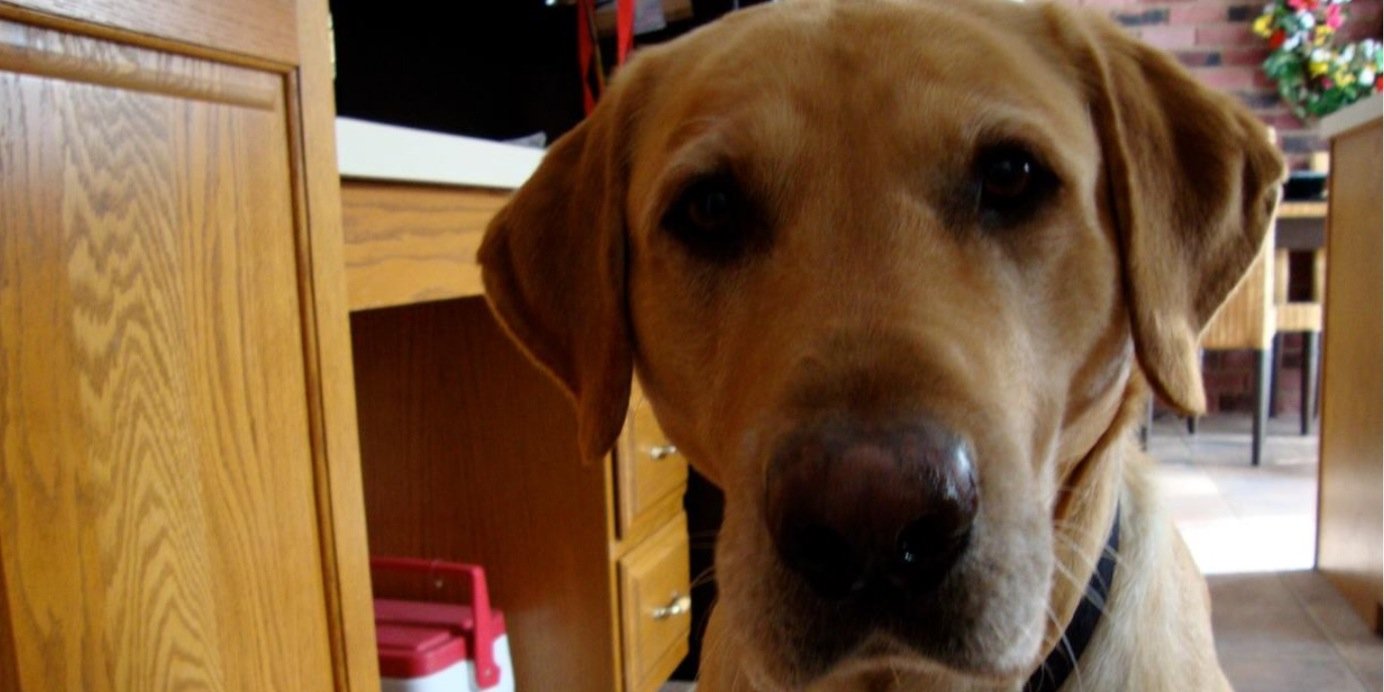 Kimberly Bostory banner