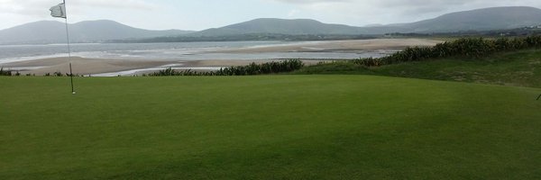 davetoal Profile Banner