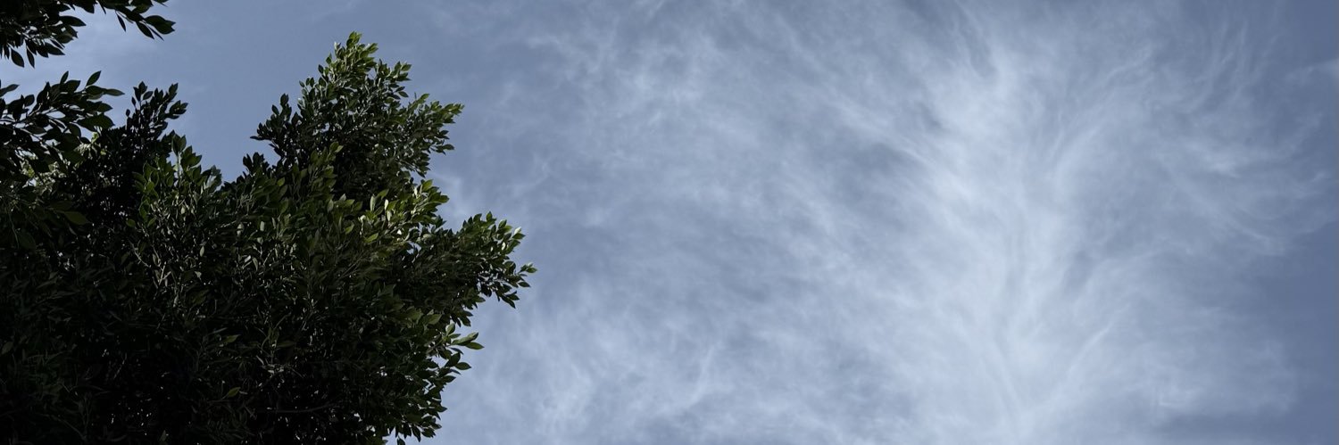 LQ7's profile banner image