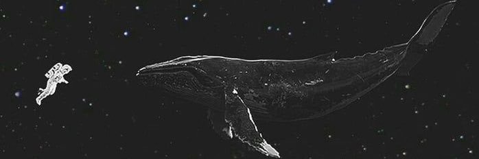 queila, não sheila banner