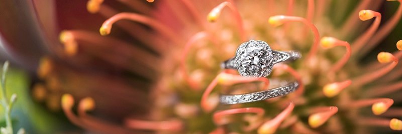 ilzelucerophoto's profile banner image