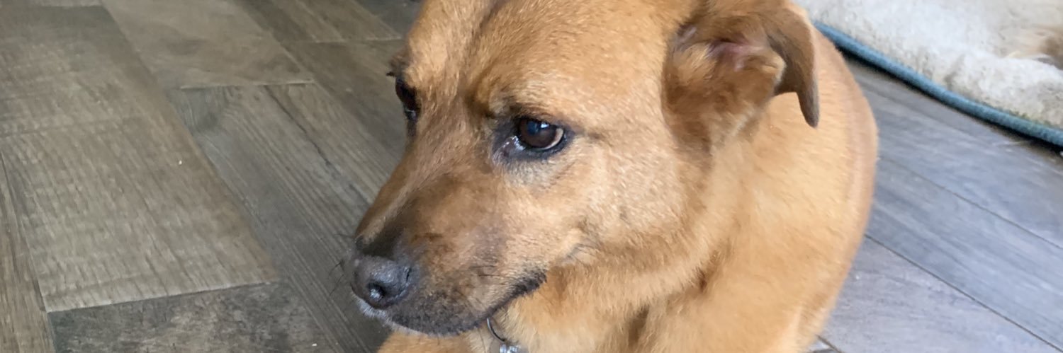 HeatherFCantu banner