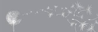 ejune96's profile banner image