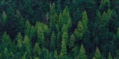 gonobolina's profile banner image