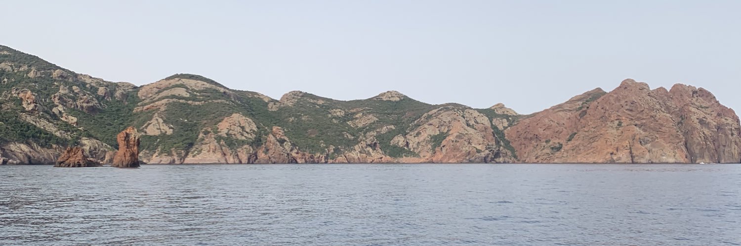 phleaurian's profile banner image