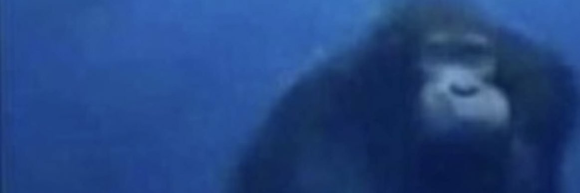 patrickcash123's profile banner image