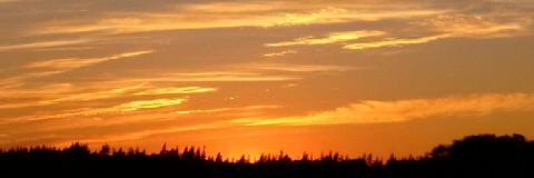 iamcdn586's profile banner image
