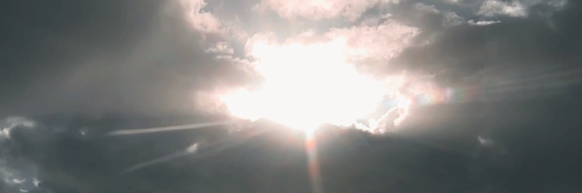 dudaradaelli's profile banner image