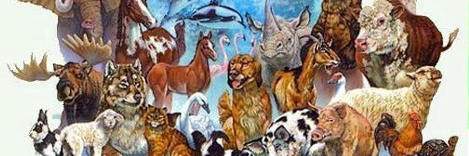 lysiejackson's profile banner image
