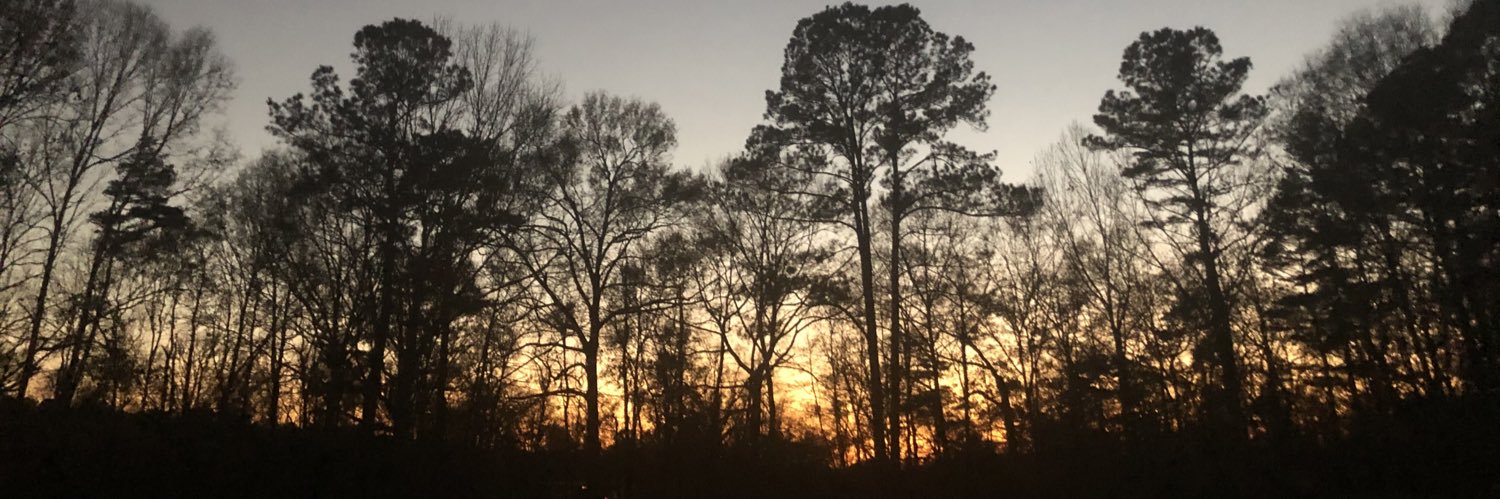 TaylorrrAnnnn's profile banner image