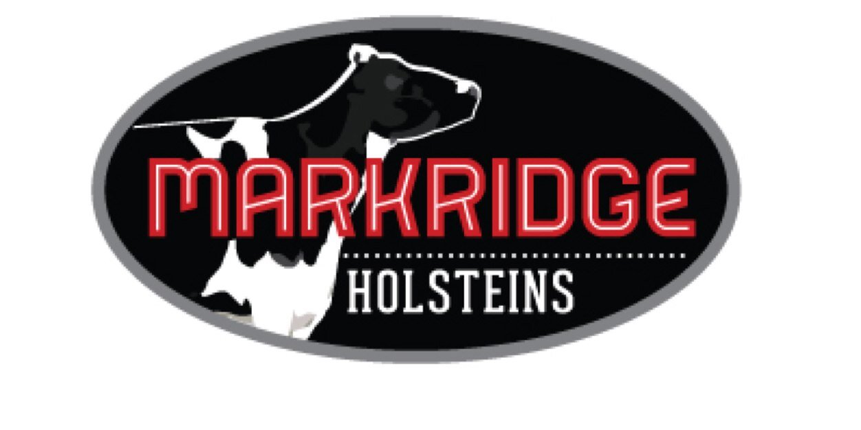 dmarkridge's profile banner image