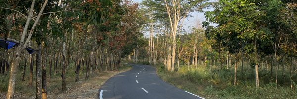 junihrt Profile Banner