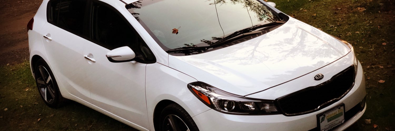 whitmaconeghy's profile banner image