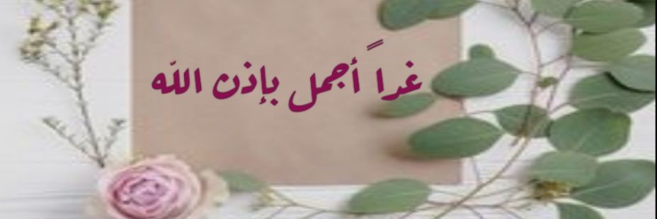 ميساء الحريبي banner