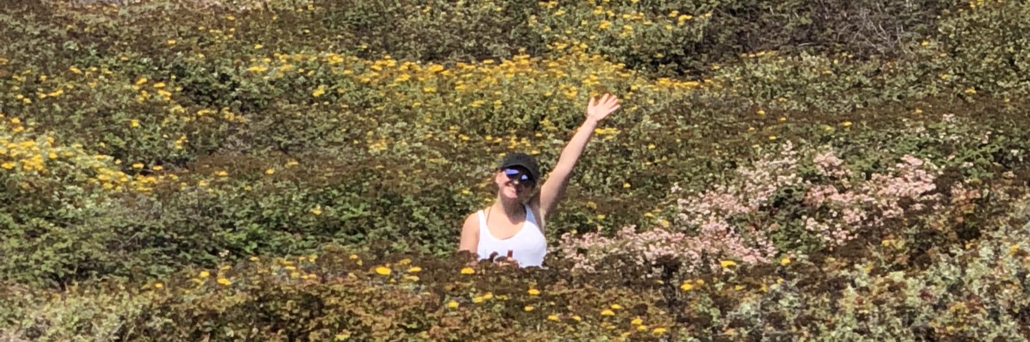JennyMash's profile banner image