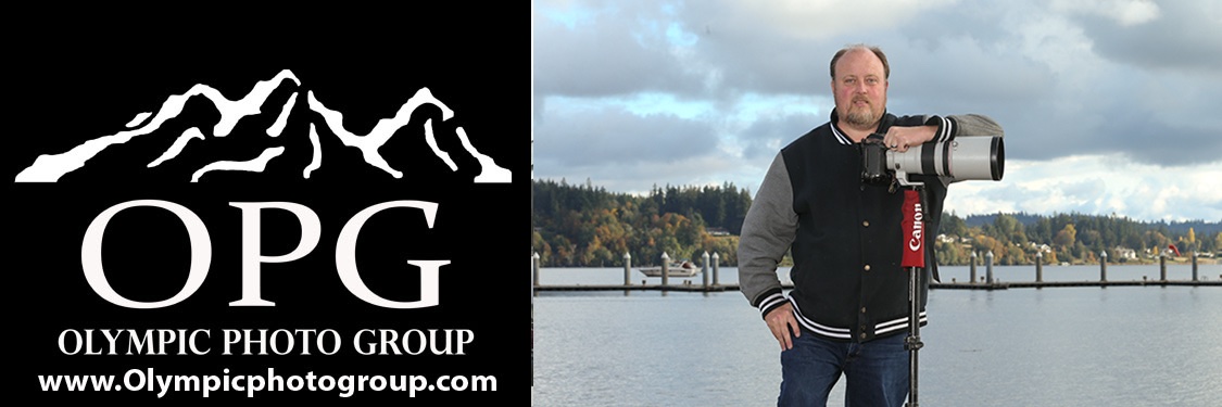 Olympic Photo Group banner