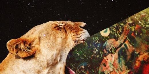 Milkmili's profile banner image