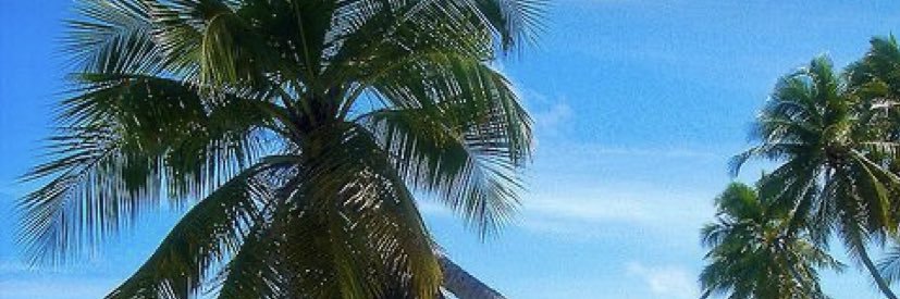 alanoudam19's profile banner image